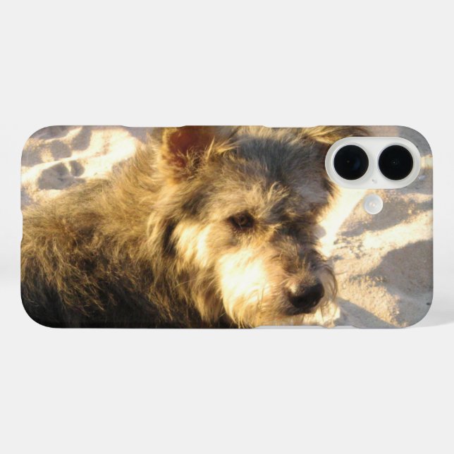 Thai Beach Dog Case-Mate iPhone Case (Back (Horizontal))