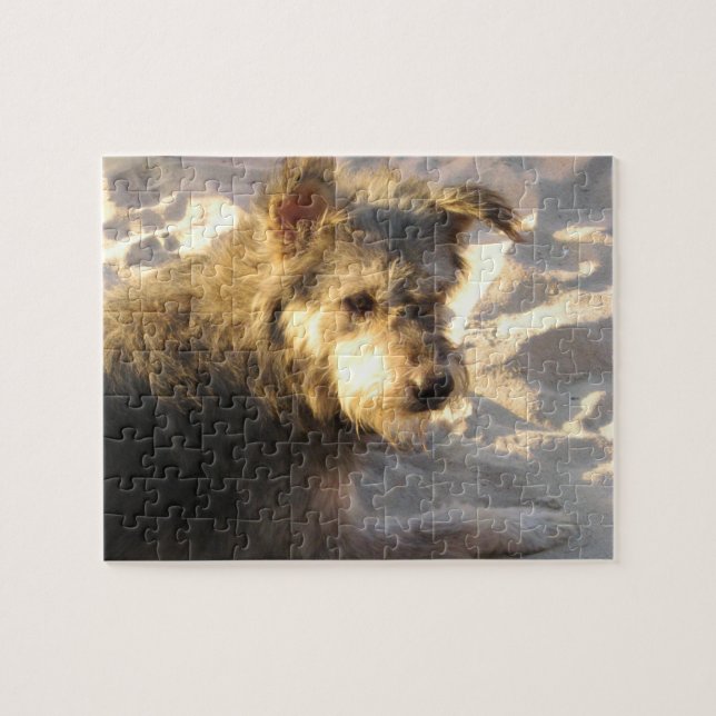 Thai Beach Dog Jigsaw Puzzle (Horizontal)