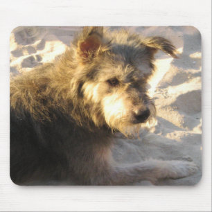 Thai Beach Dog Mouse Mat
