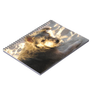 Thai Beach Dog Notebook