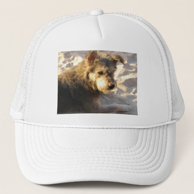 Thai Beach Dog Trucker Hat (Front)