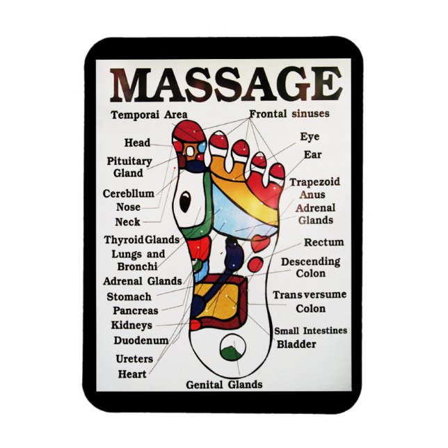 Thai Foot Massage ~ Reflexology map Magnet (Vertical)