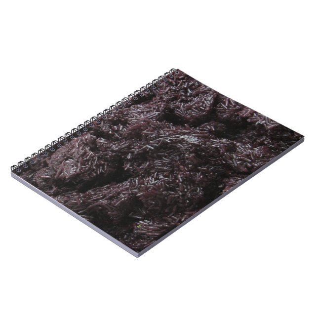 Thai Lao Black Sticky Rice [Khao Niao Dam] Notebook (Left Side)