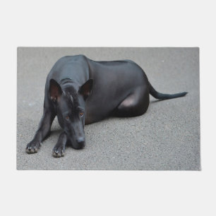 Thai Ridgeback Dog Doormat