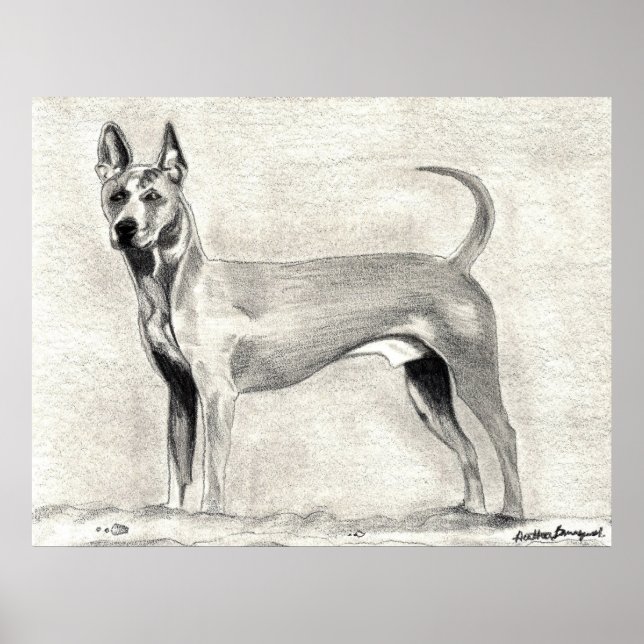 Thai Ridgeback Dog Print (Front)