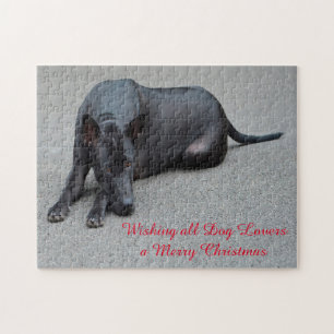 Thai Ridgeback Dogs Jigsaws. Jigsaw Puzzle