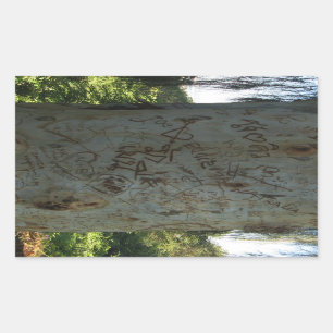 Thai Tree Graffiti Rectangular Sticker