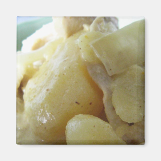 Thai Yellow Curry [แกงกะหรี่] .. Asian Street Food Magnet (Front)