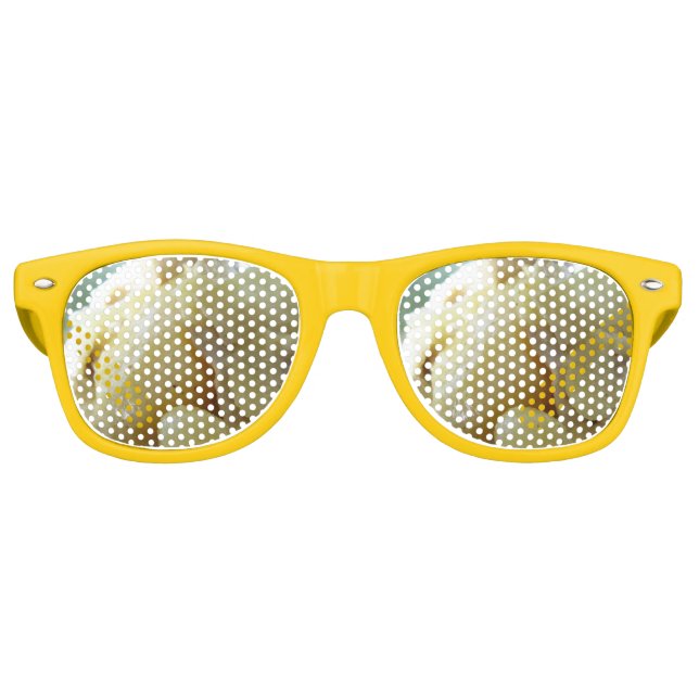 Thai Yellow Curry [แกงกะหรี่] .. Asian Street Food Retro Sunglasses (Front)