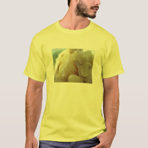 Thai Yellow Curry [แกงกะหรี่] .. T-Shirt