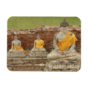 Thailand, Ayutthaya. Statues of sitting buddhas Magnet