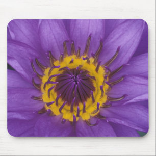 Thailand, Bangkok, Purple and yellow lotus Mouse Mat