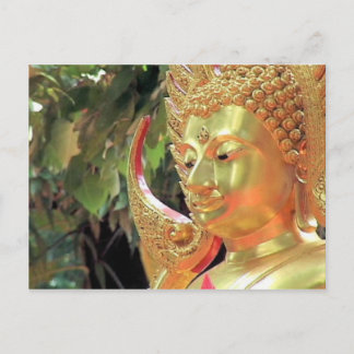 Thailand Buddha Postcard