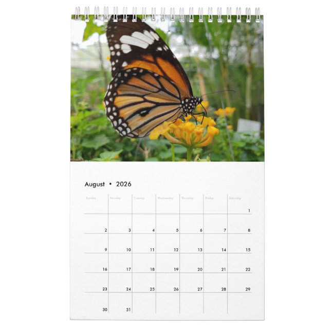 Thailand Butterflies Calendar (Aug 2026)