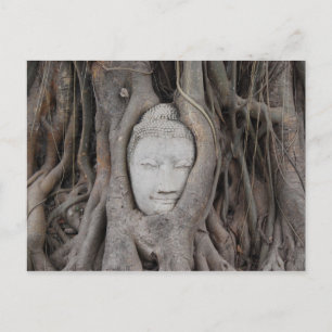 Thailand Head of Buddha surrounded by trees Postcard