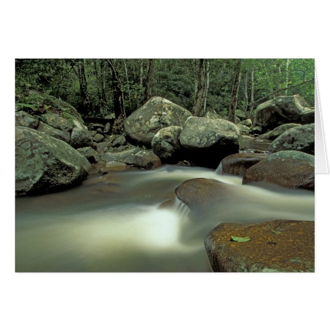 Thailand, Kohsamui Island, Rainforest landscape. (Front Horizontal)
