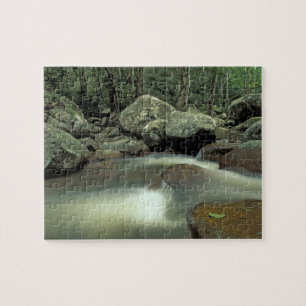 Thailand, Kohsamui Island, Rainforest landscape. Jigsaw Puzzle