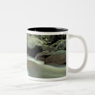Thailand, Kohsamui Island, Rainforest landscape. Two-Tone Coffee Mug