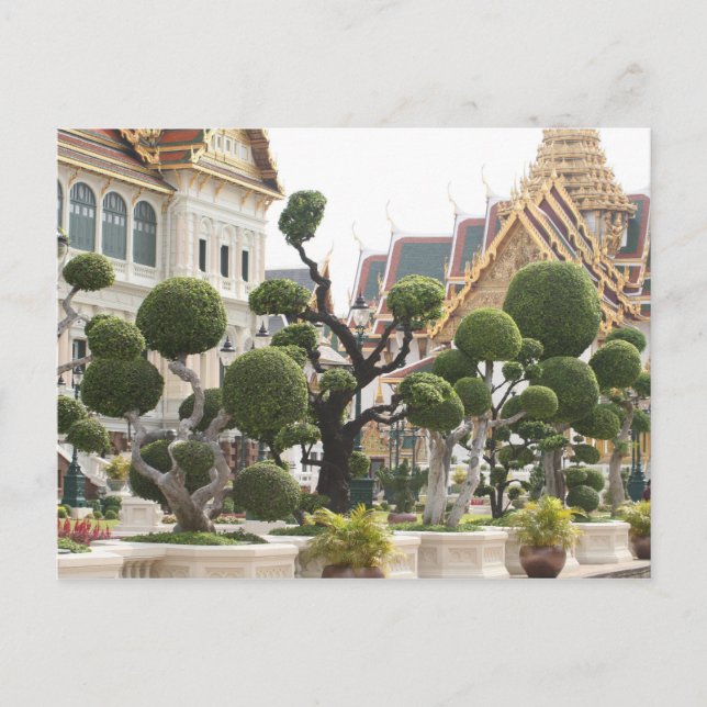 Thailand Postcard (Front)