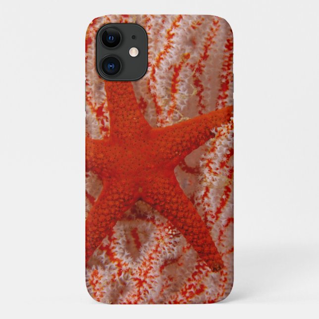 Thailand, Sea Star Aka Starfish Case-Mate iPhone Case (Back)