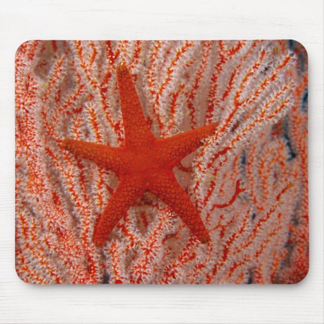 Thailand, Sea Star Aka Starfish Mouse Mat (Front)