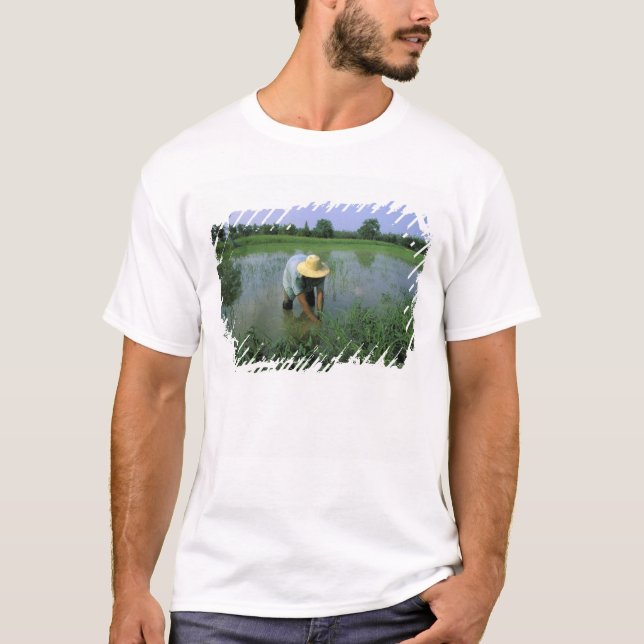 Thailand, Sukhothai. Rice farmer. MR. T-Shirt (Front)