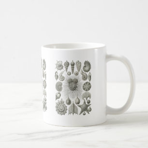 Thalamophora Coffee Mug