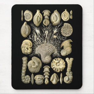 Thalamophora Mouse Mat