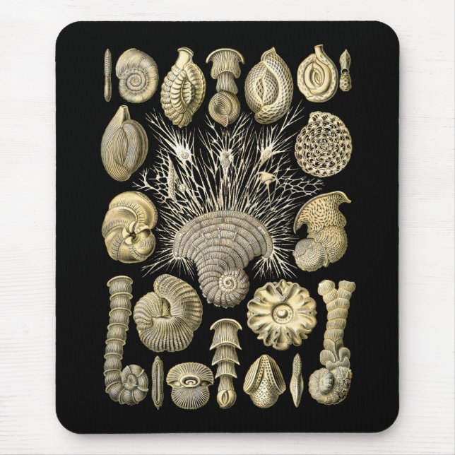Thalamophora Mouse Mat (Front)