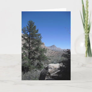 Thank a Sailor, Vegas 09 274 Thank You Card