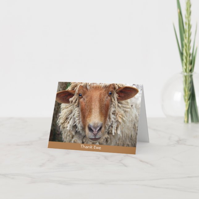 Thank Ewe: A whimsical card (Front)