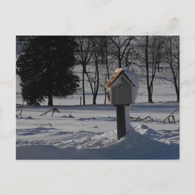 Thank Our Service Members ~ 15 Postcard (Front)