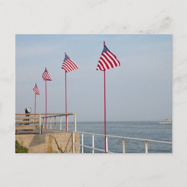 Thank Our Service Members ~ 1 Postcard (Front)