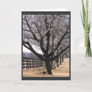 Thank our Veterans 6 Holiday Card