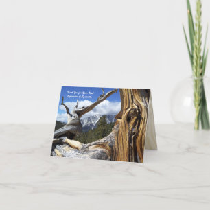 Thank You 4 Sympathy Mountain Thru Tree Note Card