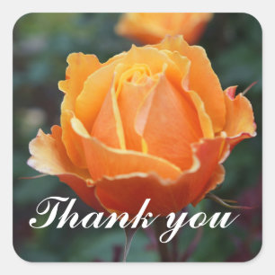 Thank You About Face Rose #1 Stickers