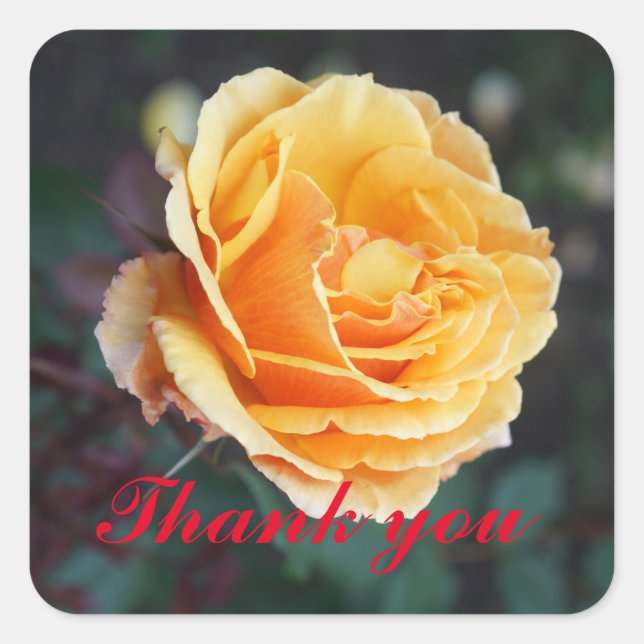 Thank You About Face Rose #3 Stickers (Front)