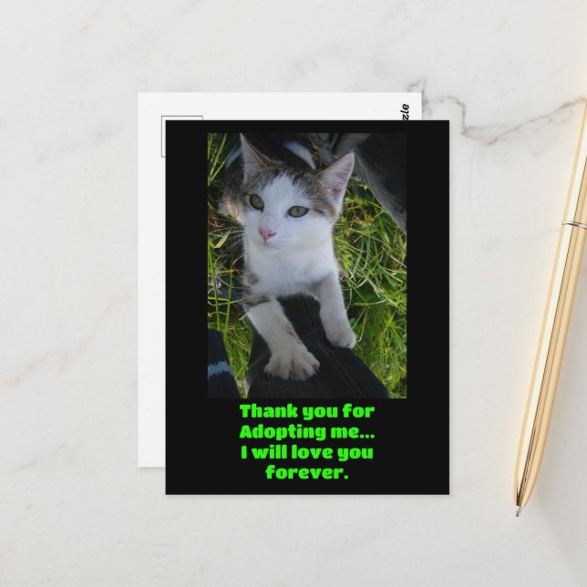 Thank you adopting me..will love you forever Cat Postcard (Front/Back In Situ)