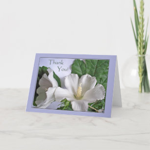 Thank You Any Occasion White Hibiscus Flowers Card