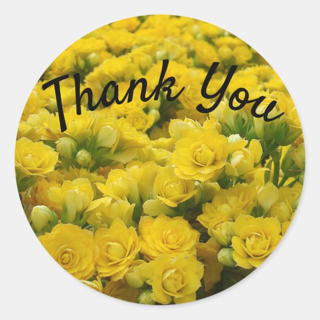 Thank You Appreciation Bright Yellow Flower Photo Classic Round Sticker (Front)