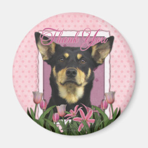 Thank You - Australian Kelpie - Jude Magnet
