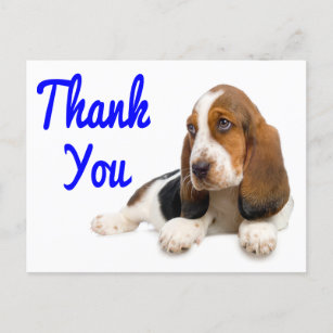 Thank You Basset Hound Greeting Post Card