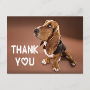 Thank You Basset Hound Puppy Dog Brown Postcard