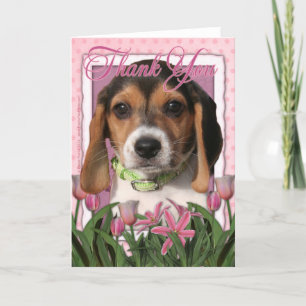 Thank You - Beagle Puppy Card