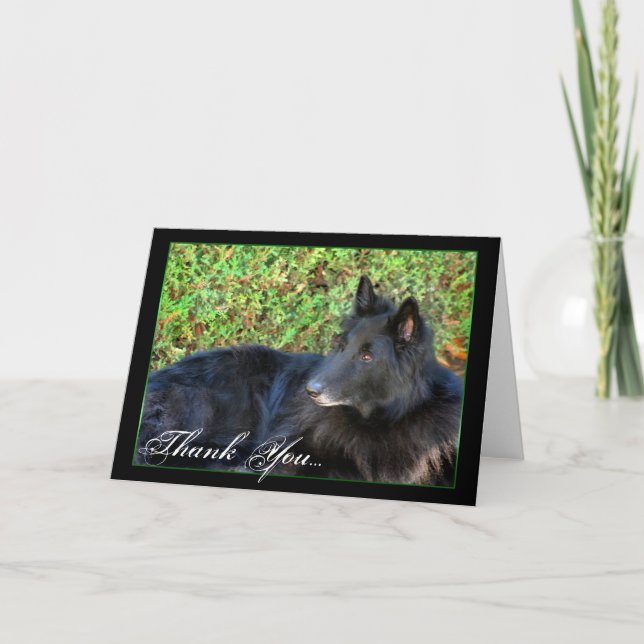 Thank You Belgian Shepherd greeting card (Front)