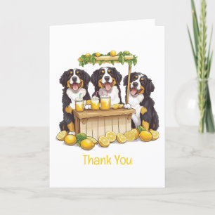 Thank You Bernese Mountain Dogs Lemonade Stand Card