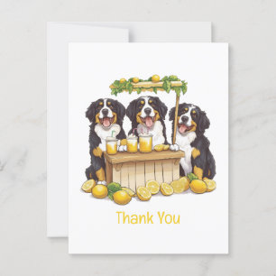 Thank You Bernese Mountain Dogs Lemonade Stand Postcard