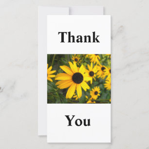 Thank you black eye Susan flower cards