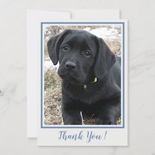 Thank You Black Labrador- Blue Grey Cute Puppy Dog Card
