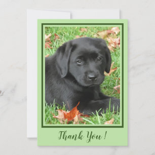 Thank You Black Labrador Puppy - Autumn Cute Dog Card